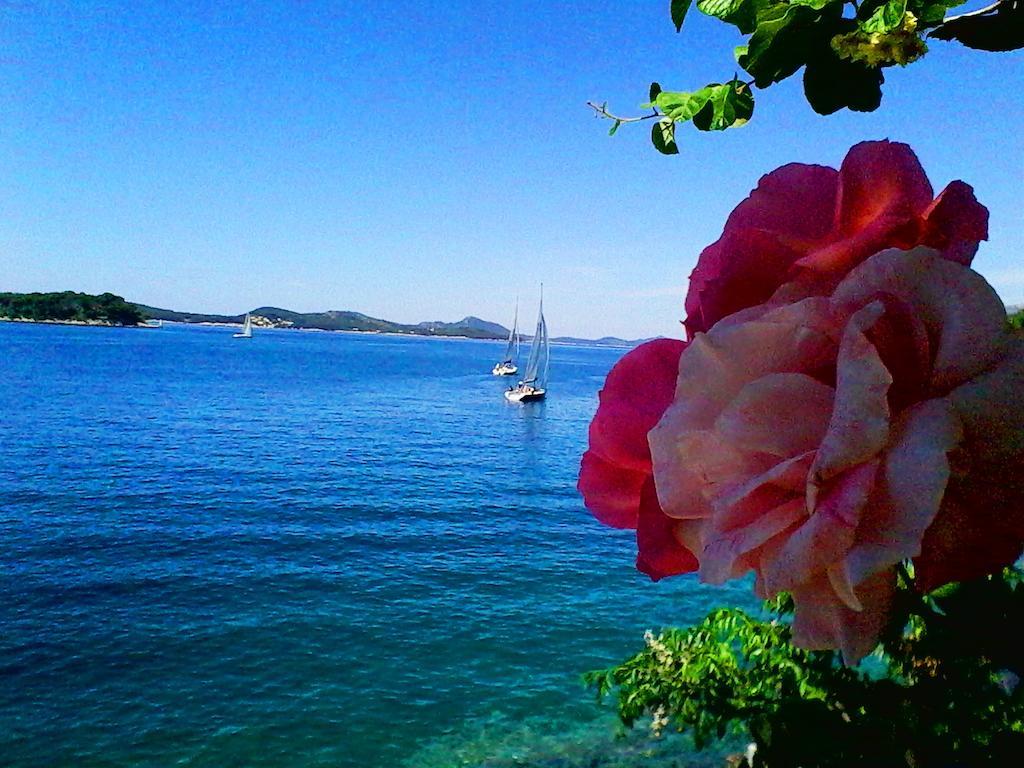 Sea Of Eden Apartment Dubrovnik Luaran gambar