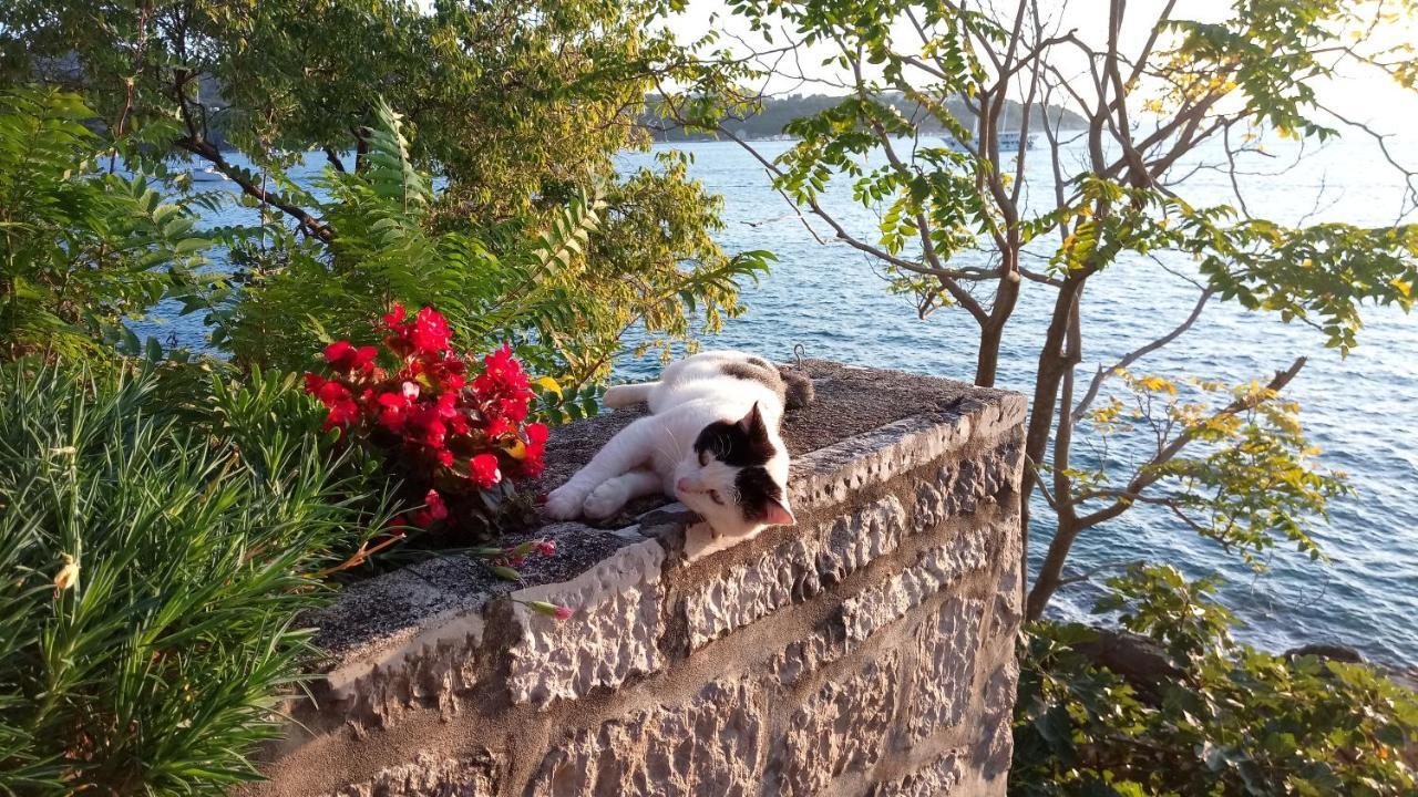 Sea Of Eden Apartment Dubrovnik Luaran gambar